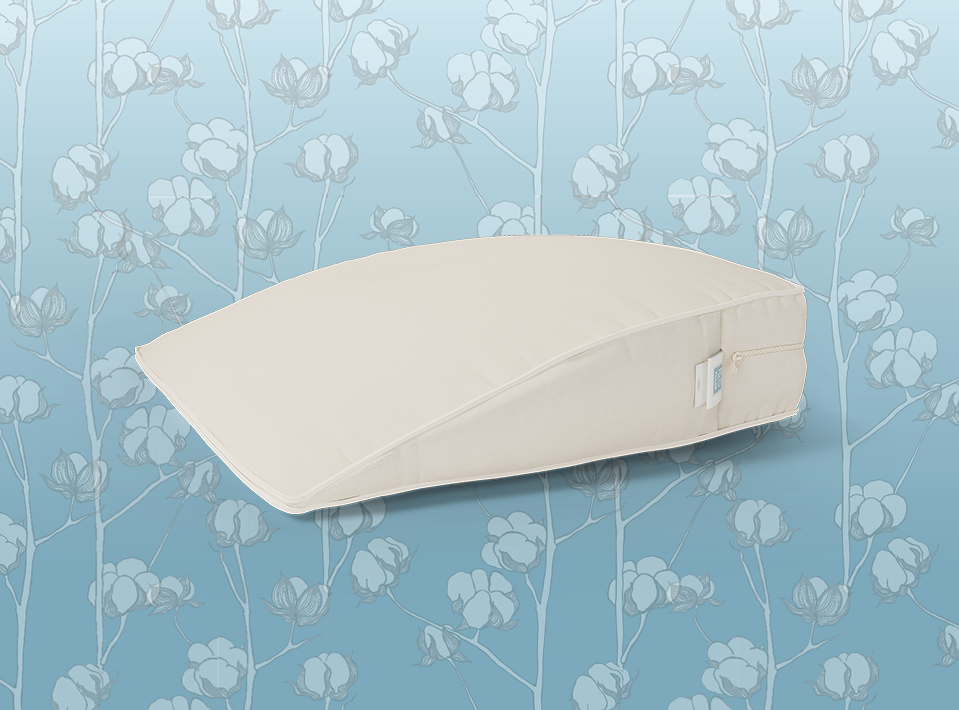 Reflux Gourmet Pillow
