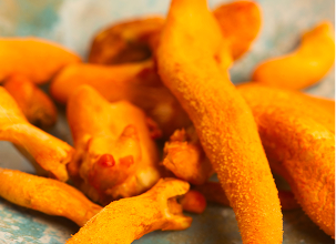 Cordyceps